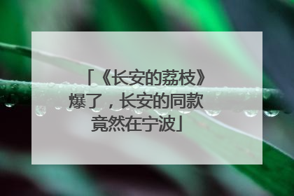 《长安的荔枝》爆了，长安的同款竟然在宁波