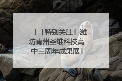 「特别关注」潍坊青州圣维科技高中三周年成果展