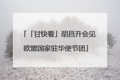 「甘快看」胡昌升会见欧盟国家驻华使节团