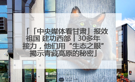 「中央媒体看甘肃」报效祖国 建功西部丨30多年接力，他们用“生态之眼”揭示青藏高原的秘密
