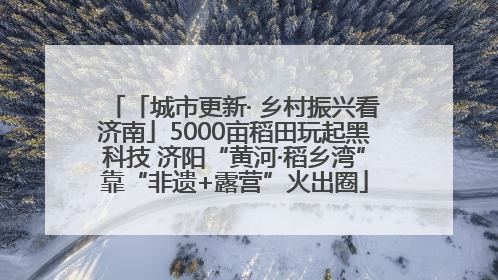 「城市更新· 乡村振兴看济南」5000亩稻田玩起黑科技 济阳“黄河·稻乡湾”靠“非遗+露营”火出圈