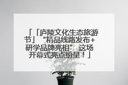 「庐陵文化生态旅游节」“精品线路发布+研学品牌亮相” 这场开幕式亮点纷呈！