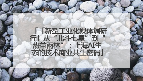 「新型工业化媒体调研行」从“北斗七星”到“热带雨林”：上海AI生态的技术商业共生密码
