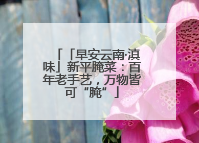 「早安云南·滇味」新平腌菜：百年老手艺，万物皆可“腌”
