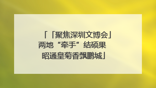 「聚焦深圳文博会」两地“牵手”结硕果 昭通皇菊香飘鹏城