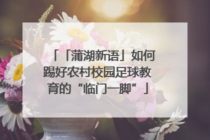 「蒲湖新语」如何踢好农村校园足球教育的“临门一脚”