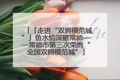 「走进“双拥模范城”」鱼水情深耀常德——常德市第三次荣膺“全国双拥模范城”