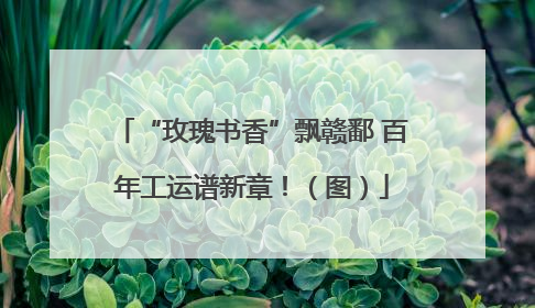 “玫瑰书香”飘赣鄱 百年工运谱新章！（图）