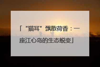 “猫耳”飘散荷香：一座江心岛的生态蜕变
