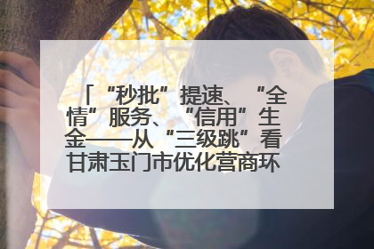 “秒批”提速、“全情”服务、“信用”生金——从“三级跳”看甘肃玉门市优化营商环境的进阶之路