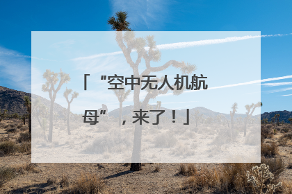 “空中无人机航母”，来了！