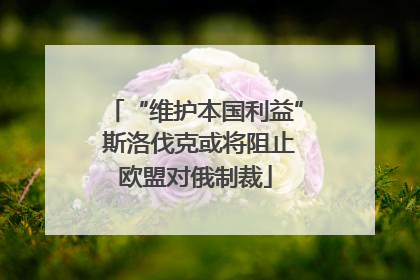 “维护本国利益” 斯洛伐克或将阻止欧盟对俄制裁