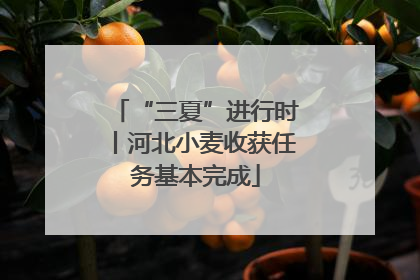 “三夏”进行时丨河北小麦收获任务基本完成