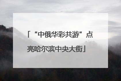 “中俄华彩共游”点亮哈尔滨中央大街
