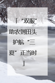 “双服”助农到田头 护航“三夏”正当时
