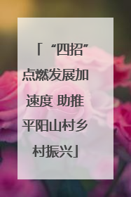 “四招”点燃发展加速度 助推平阳山村乡村振兴