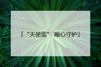 “天使蓝” 暖心守护