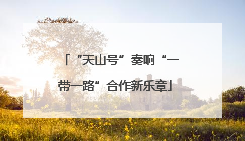 “天山号”奏响“一带一路”合作新乐章