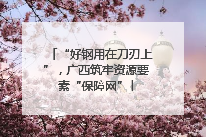 “好钢用在刀刃上”，广西筑牢资源要素“保障网”