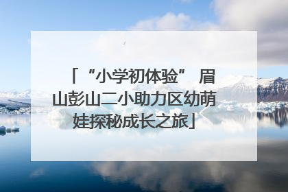 “小学初体验” 眉山彭山二小助力区幼萌娃探秘成长之旅
