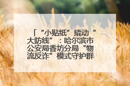 “小贴纸”撬动“大防线”：哈尔滨市公安局香坊分局“物流反诈”模式守护群众“钱袋子”