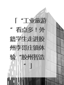 “工业旅游”看点多！外籍学生走进胶州李哥庄镇体验“胶州智造”