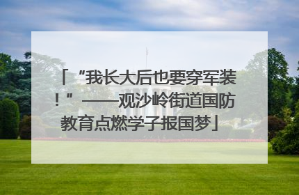 “我长大后也要穿军装！”——观沙岭街道国防教育点燃学子报国梦