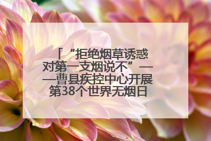 “拒绝烟草诱惑 对第一支烟说不”——曹县疾控中心开展第38个世界无烟日科普宣传活动