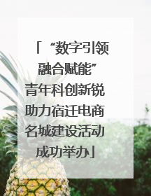 “数字引领 融合赋能”青年科创新锐助力宿迁电商名城建设活动成功举办