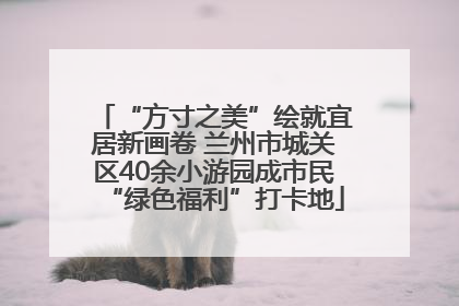 “方寸之美”绘就宜居新画卷 兰州市城关区40余小游园成市民“绿色福利”打卡地