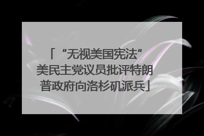 “无视美国宪法” 美民主党议员批评特朗普政府向洛杉矶派兵
