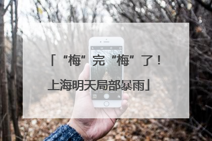 “梅”完“梅”了！上海明天局部暴雨