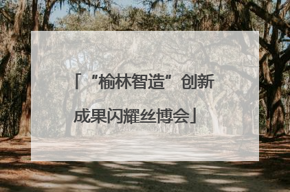 “榆林智造”创新成果闪耀丝博会