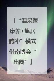 “温泉医康养+旅居腾冲”模式借南博会“出圈”