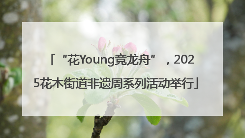“花Young竞龙舟”，2025花木街道非遗周系列活动举行