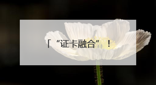 “证卡融合”！济南成功发放首张加载外国人工作许可信息的社保卡