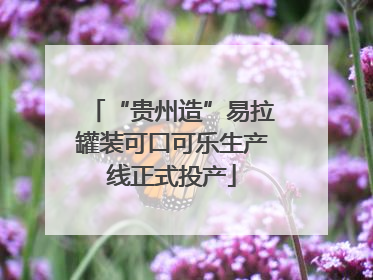 “贵州造”易拉罐装可口可乐生产线正式投产