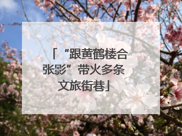 “跟黄鹤楼合张影”带火多条文旅街巷