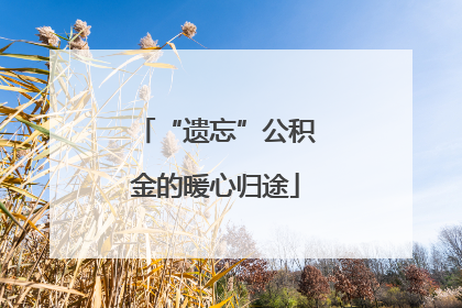 “遗忘”公积金的暖心归途