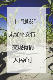 “银发”无忧平安行 交规有情入民心