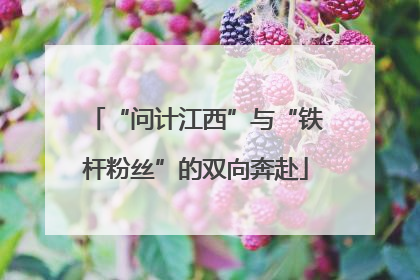 “问计江西”与“铁杆粉丝”的双向奔赴