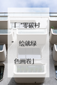 “零碳村” 绘就绿色画卷