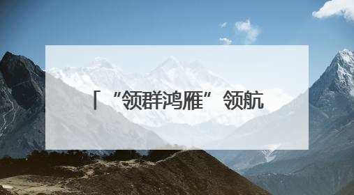 “领群鸿雁”领航边境共治新生态