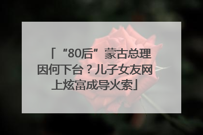 “80后”蒙古总理因何下台？儿子女友网上炫富成导火索