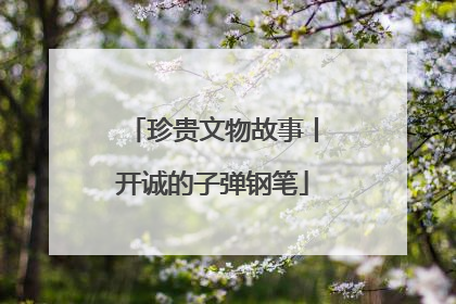 珍贵文物故事丨开诚的子弹钢笔