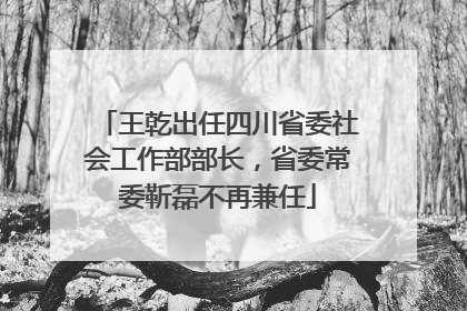 王乾出任四川省委社会工作部部长，省委常委靳磊不再兼任