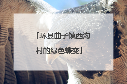 环县曲子镇西沟村的绿色蝶变
