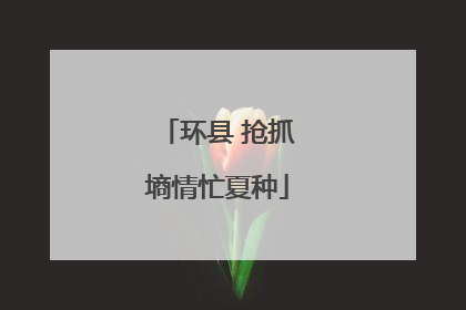 环县 抢抓墒情忙夏种