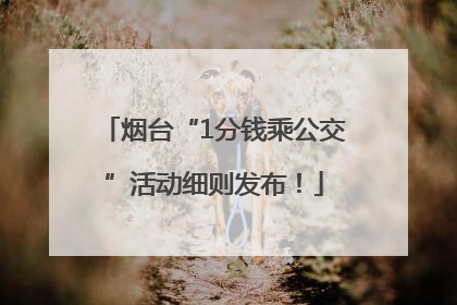 烟台“1分钱乘公交”活动细则发布！