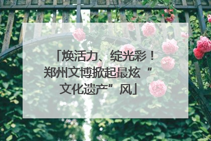 焕活力、绽光彩！郑州文博掀起最炫“文化遗产”风